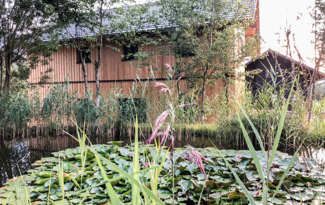 Sommersberg - Photo 12