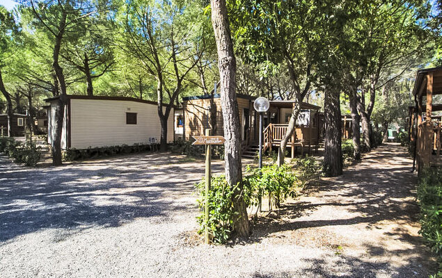 Gineprino - Photo 11