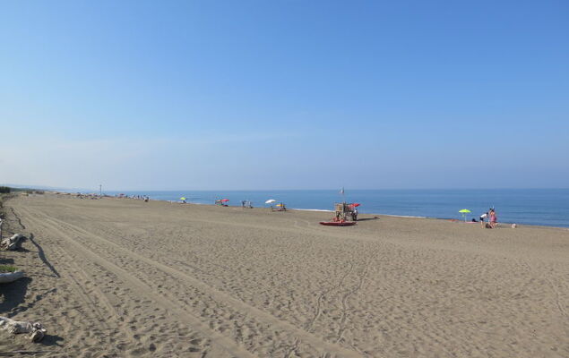 Gineprino - Photo 22