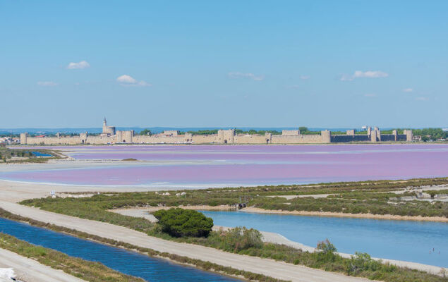 L'Abrivado - Photo 20