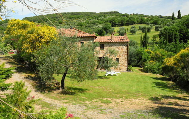 Poggio Velluto - Photo 50