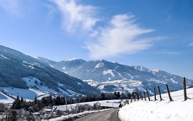 Bergerlodge - Photo 21