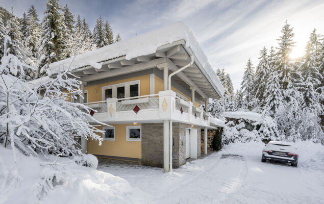 Steindlwald - Photo 28