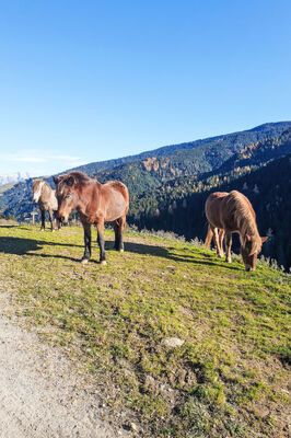 Weissbachergut - Photo 35