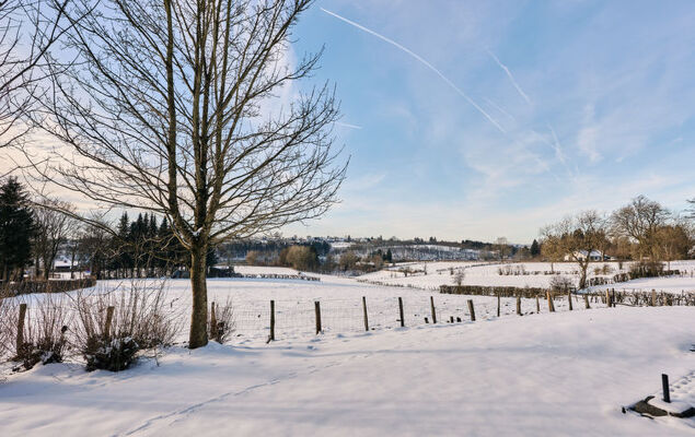 Au bord du Lac 2 - Photo 18